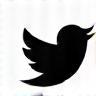 Twitter Icon